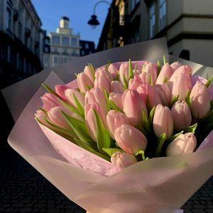 Meet your Posher, Sandy